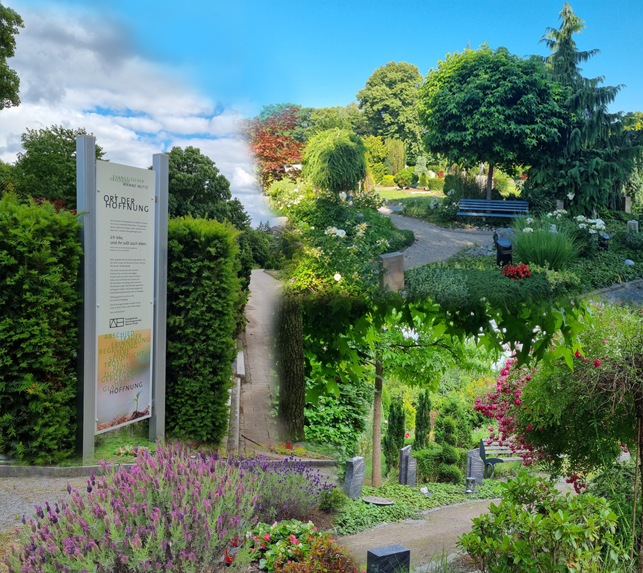 Friedhof mit Gräbern und Grabsteinen im Vordergrund. Bäume, Blumen und Bank im Hintergrund.