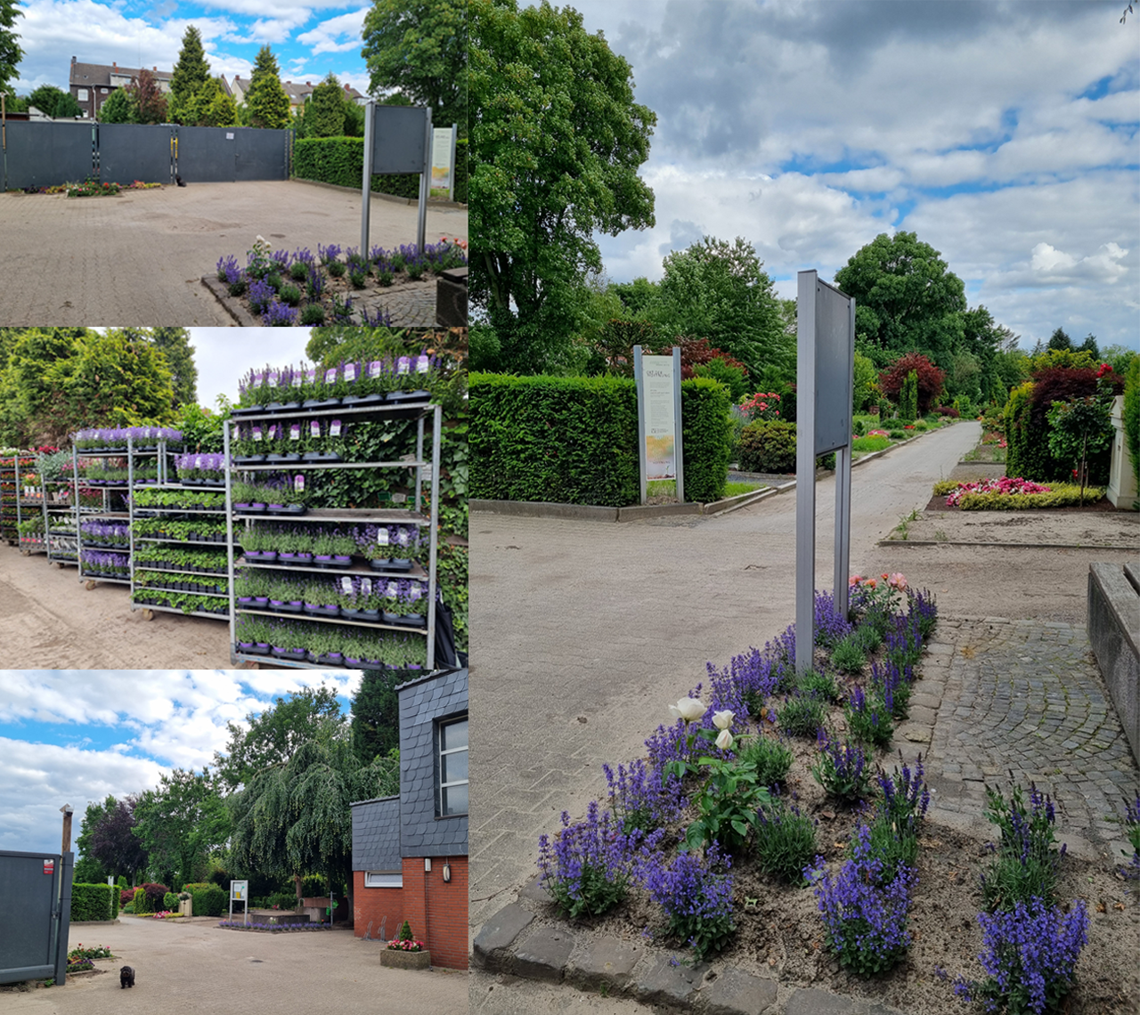 Betriebshof am Friedhofseingang mit Pflanzen und frisch bepflanztem Beet.