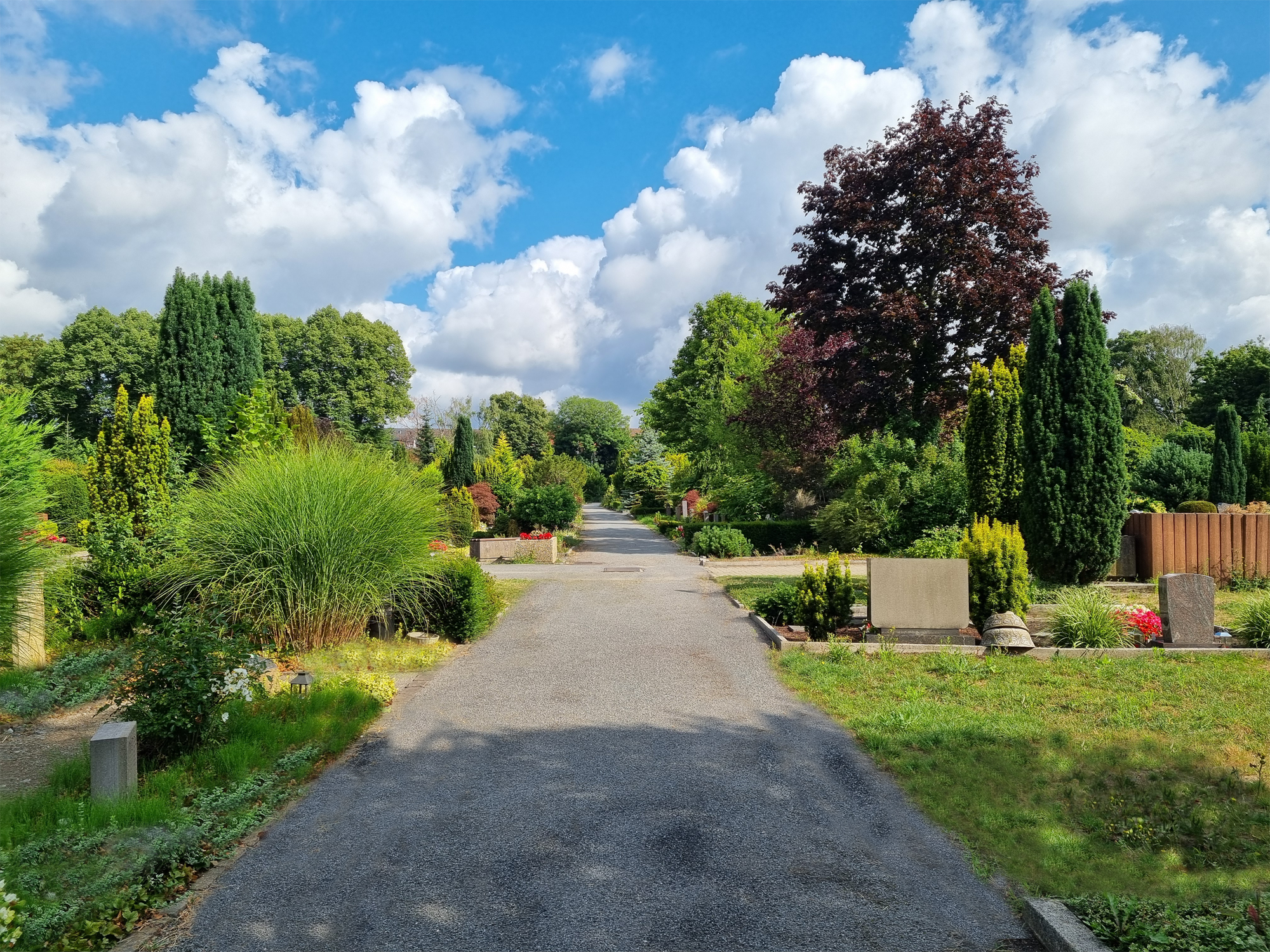 Links Urnengräber, in der Mitte neu angelegter Weg, rechts neuer Rasen.