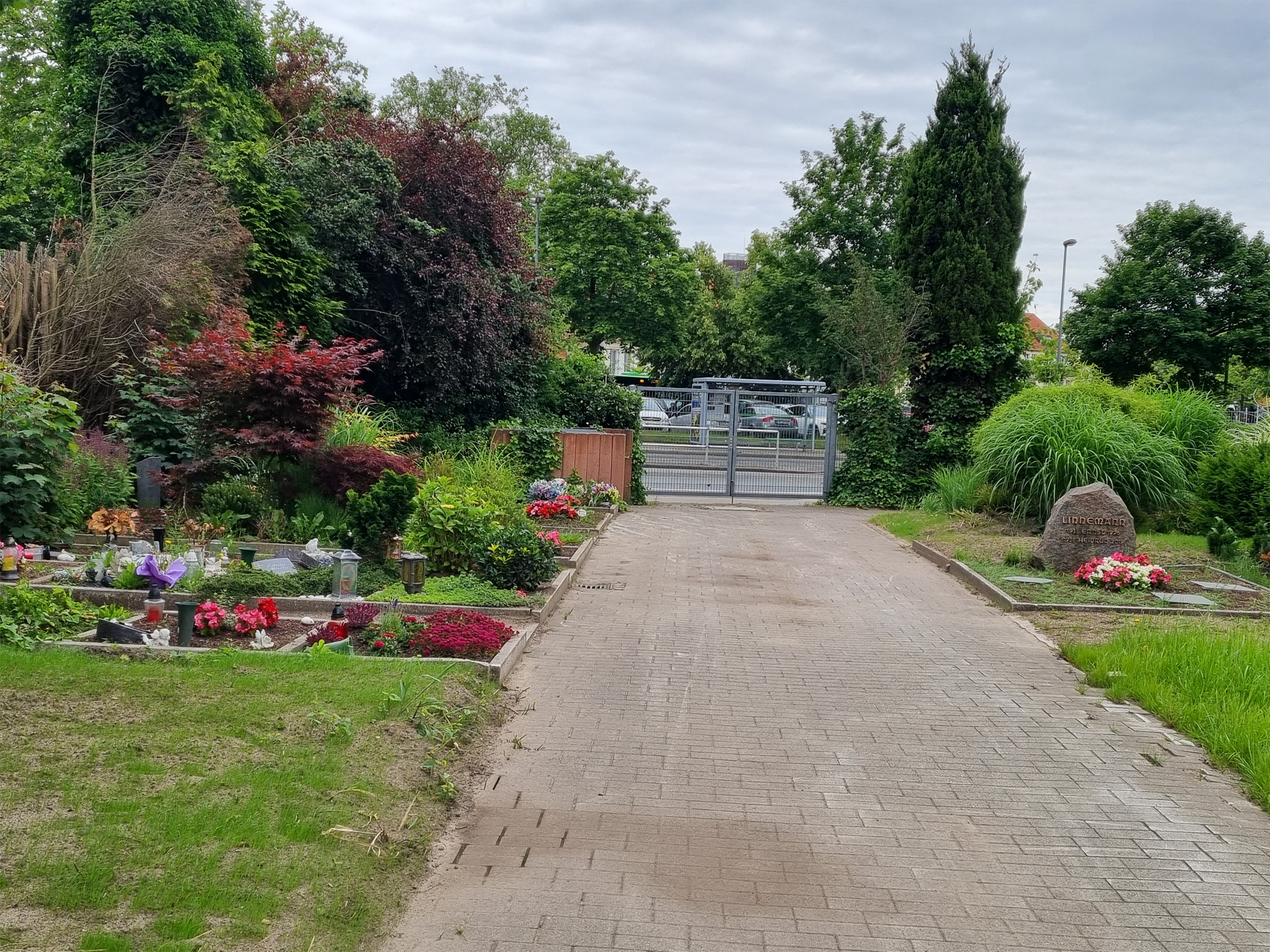 Weg am Tor mit ersten grünen Grashalmen auf den Freiflächen und blühenden Blumen.