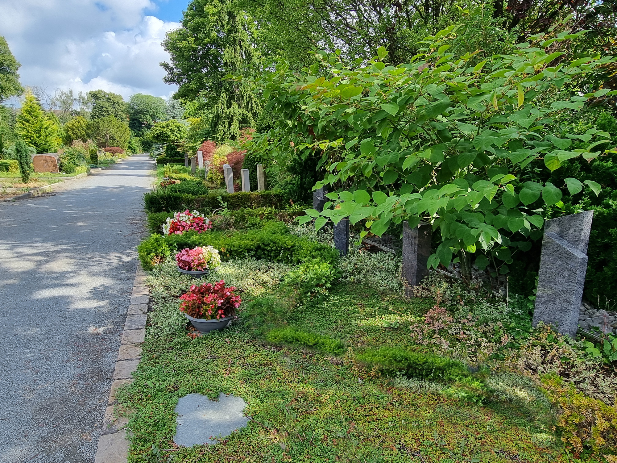 "Waldsteinia" Grabanlage mit Bodendeckern, bepflanzten Blumenschalen und Grabsteinen.