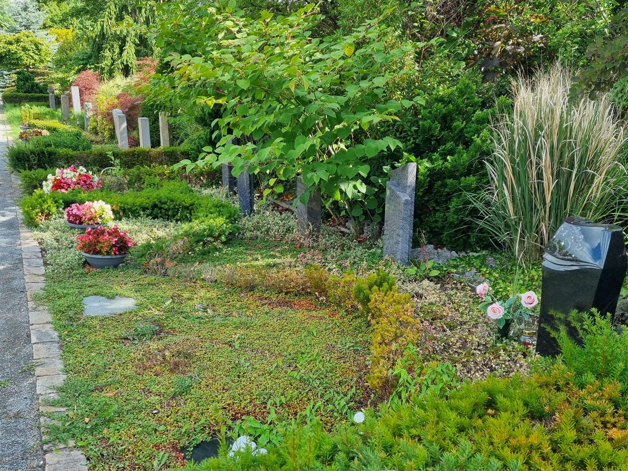 Gemeinschaftsgrabanlage mit Bodendeckern, Schalen mit blühenden Blumen und Grabsteinen.