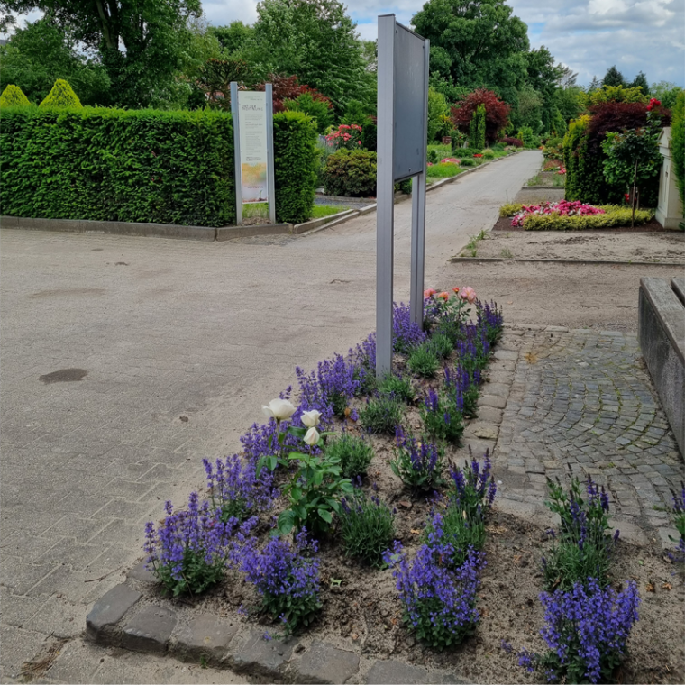 Bepflanztes Blumenbeet am Eingang des Friedhofs Wanne-Mitte.