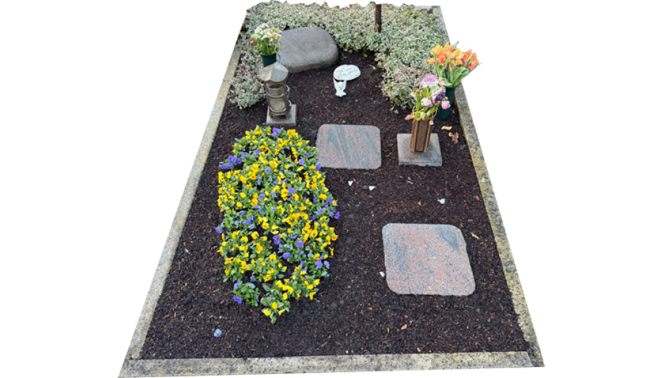 Grab mit Pinienrinde, gelb-violetten Stiefmütterchen und frischen Schnittblumen.