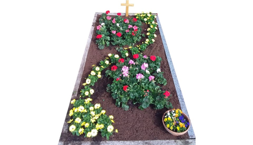 Frisch bepflanztes Grab mit roten und rosa Geranien sowie gelben Sommerblumen.