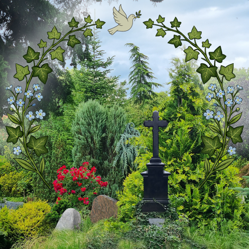 Historische Grabsteine und ein rot blühender Rosenstrauch vor grünen Bäumen.