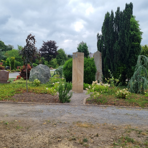 Ein frisch angelegtes Rasenfeld mit Grassamen auf dem Friedhof umgeben von alten Bäumen.