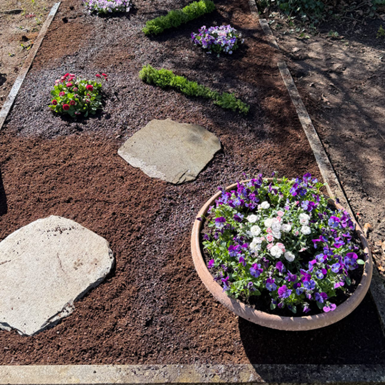 Frisch bepflanzte und gegossene Blumenschale auf einem Grab.