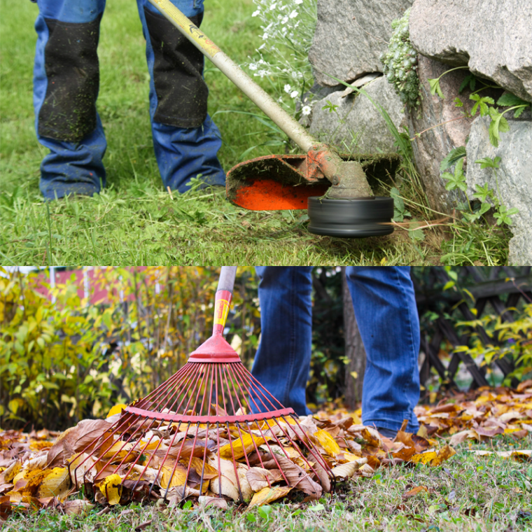 Gartenwerkzeuge wie Rasenschneider und Laubbesen im Einsatz.